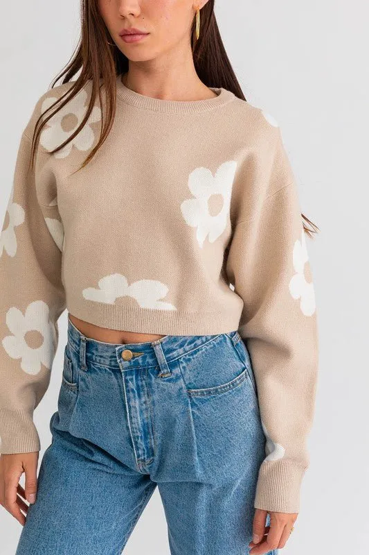 Daisy Print Cropped Sweater