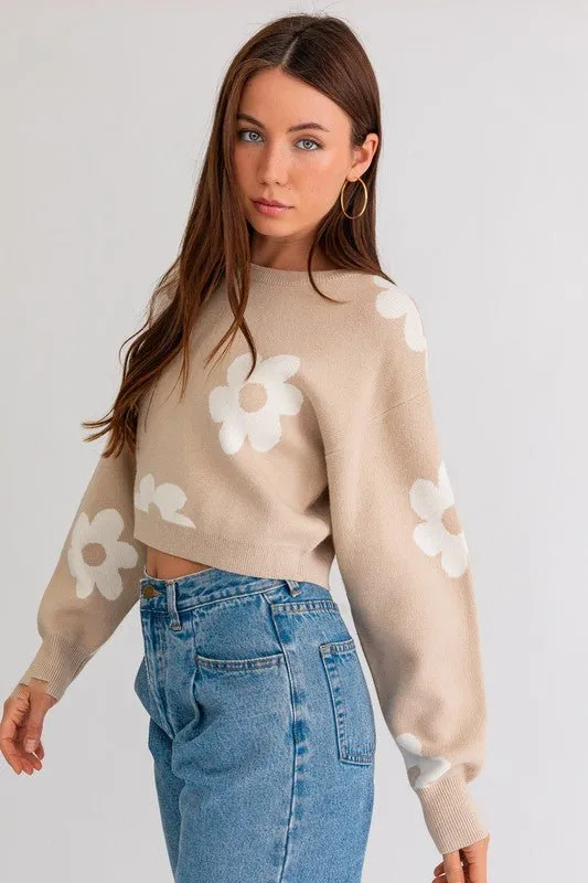 Daisy Print Cropped Sweater