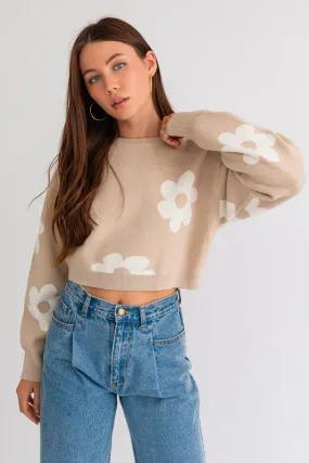 Daisy Print Cropped Sweater