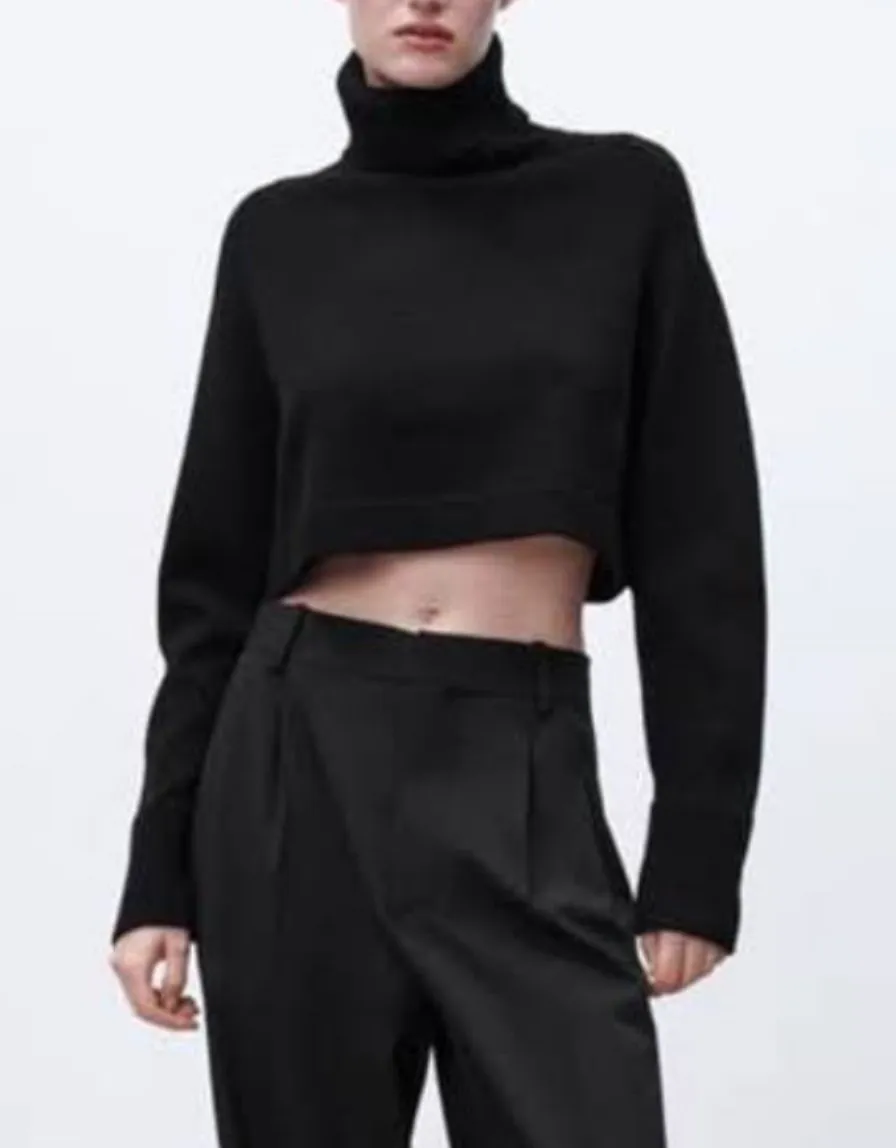 Zara Cropped Turtleneck Sweater